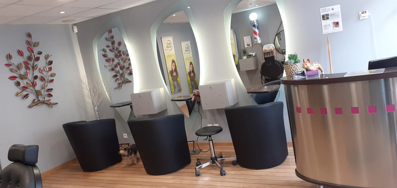 Ciseaux d'or - Coiffure Gravelines - OneBooking