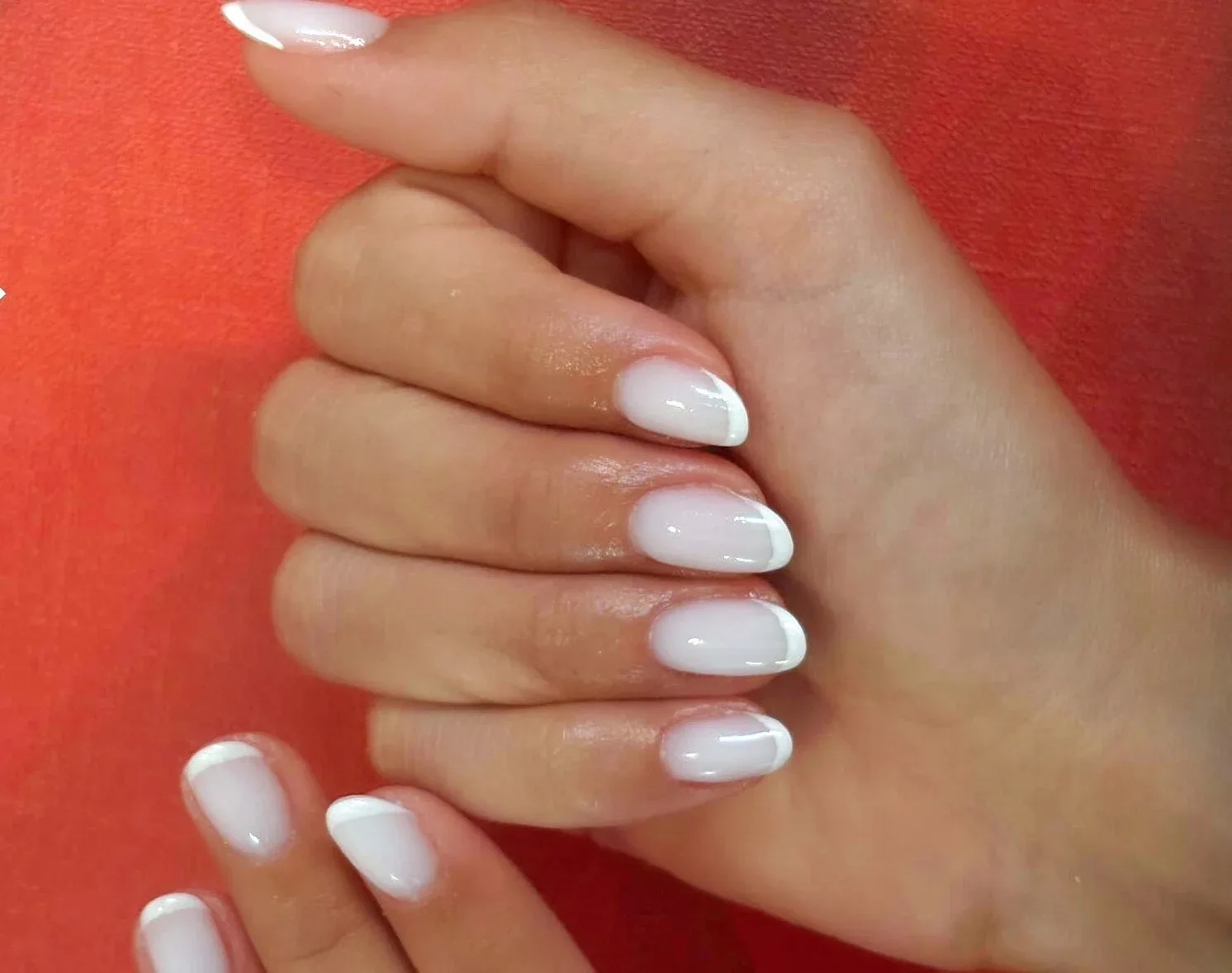 Oh my glow - Institut de beauté Corte - OneBooking