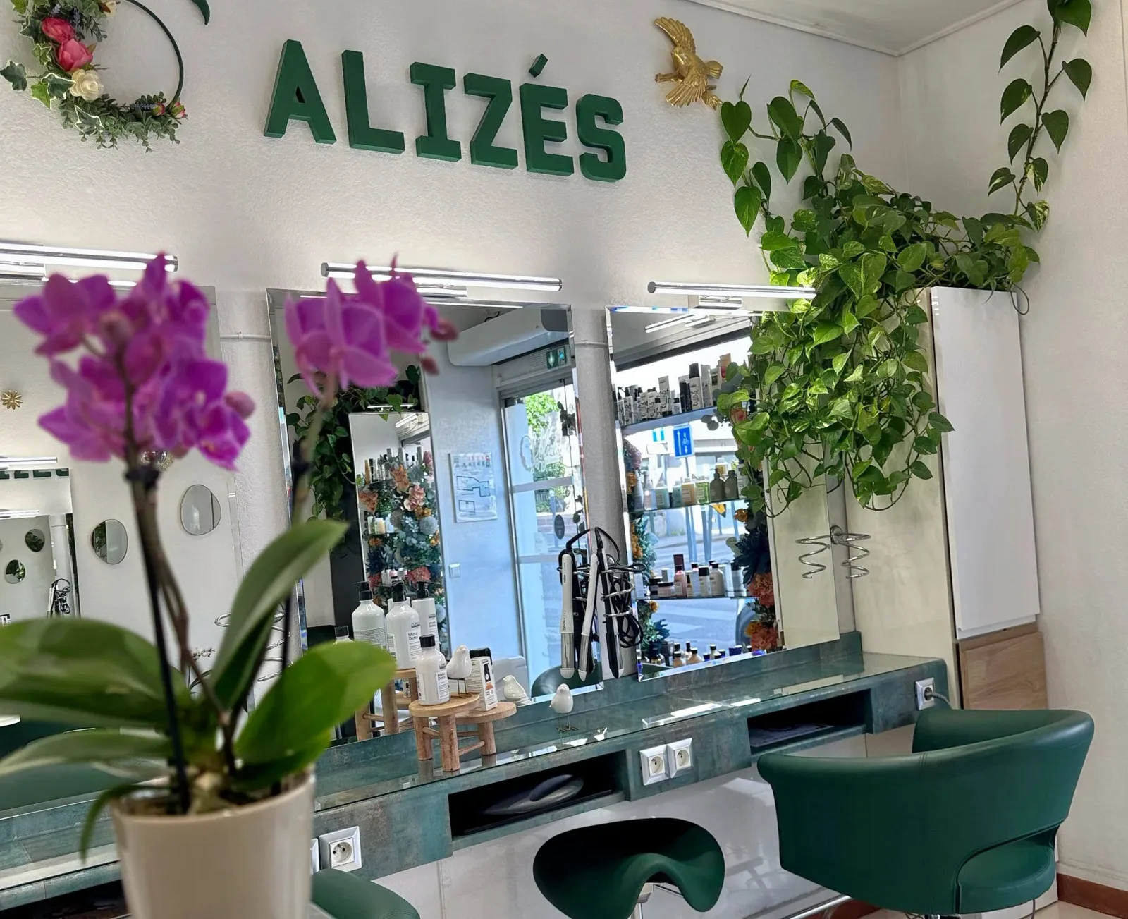 O' Alizés - Coiffure Meudon - O' Alizés - Photo Galerie - OneBooking