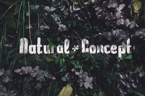 Natural Concept - Coiffure Strasbourg - Natural Concept - Photo Galerie - OneBooking