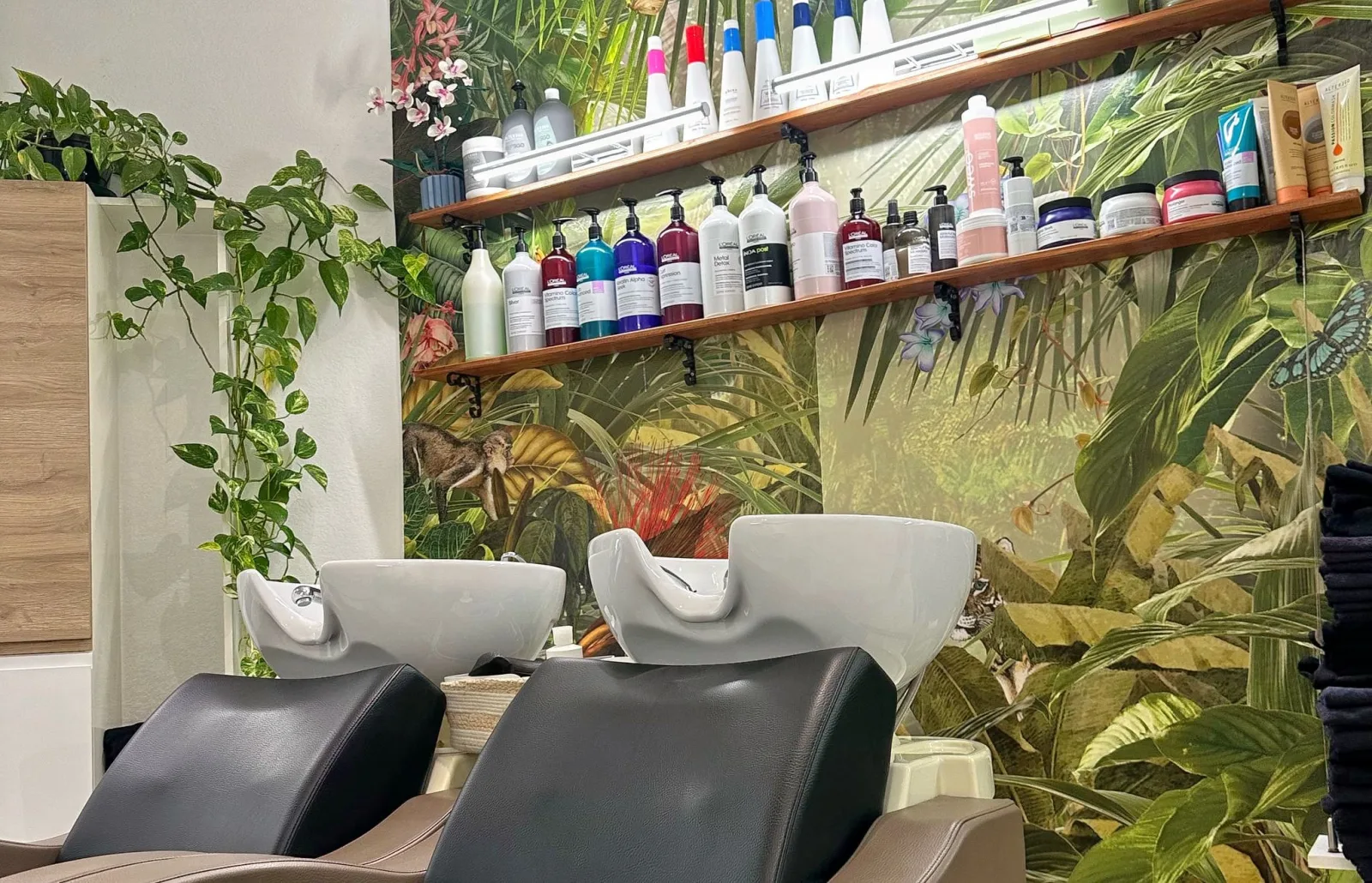 O' Alizés - Coiffure Meudon - O' Alizés - Photo Galerie - OneBooking