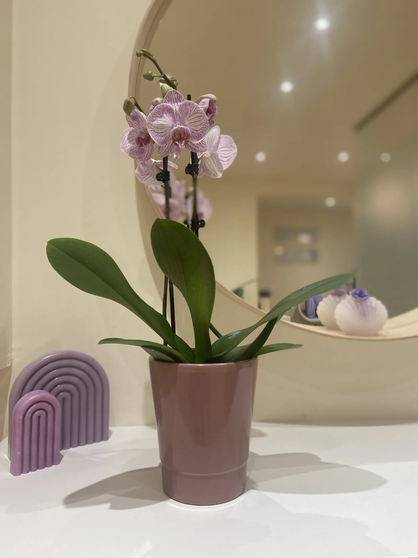 Casey Beauty - Institut de beauté Strasbourg - Casey Beauty - Photo Galerie - OneBooking