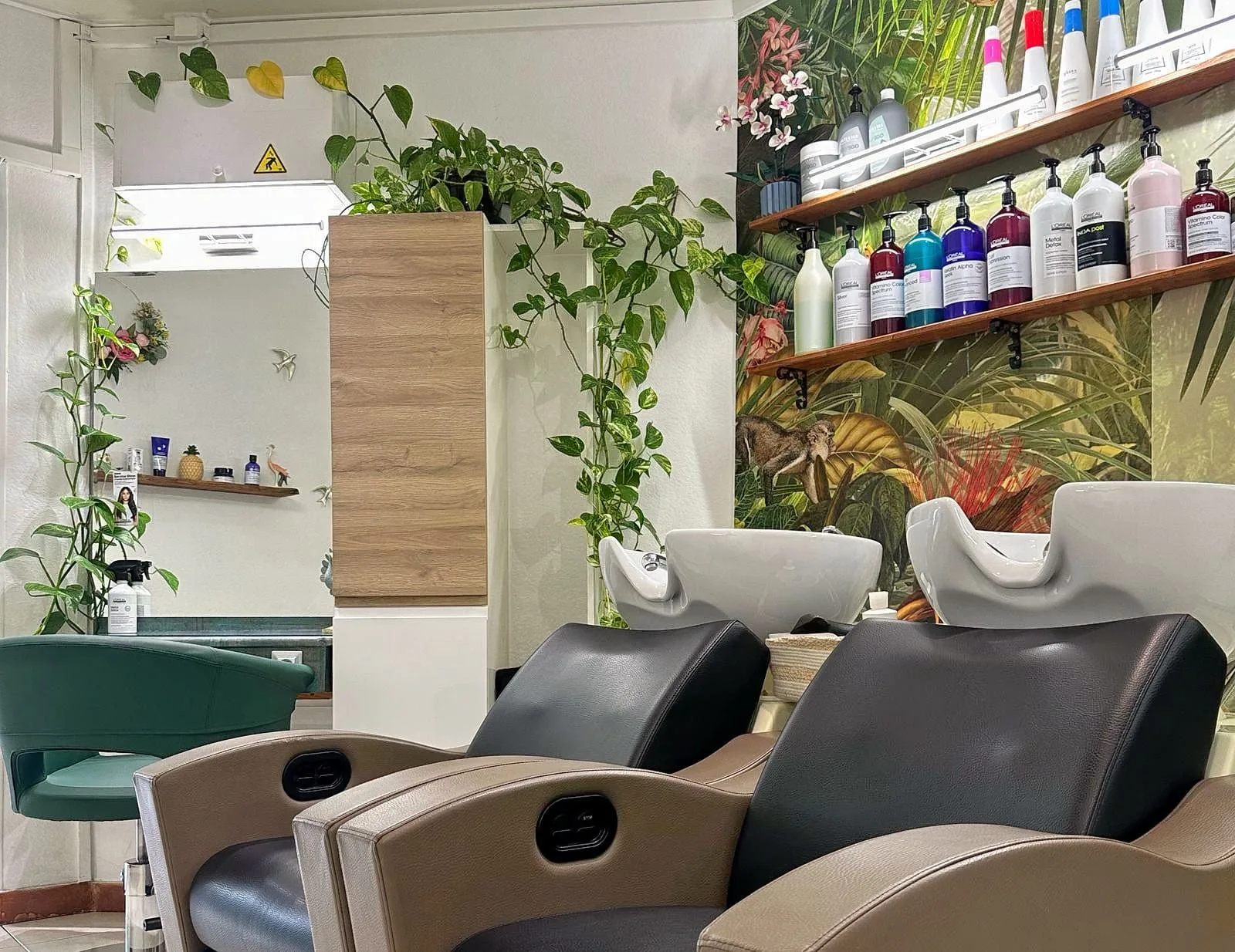 O' Alizés - Coiffure Meudon - O' Alizés - Photo Galerie - OneBooking
