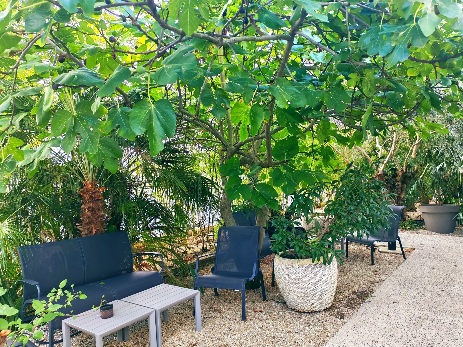 SPA Hôtel Central Park - Massage La Rochelle - SPA Hôtel Central Park - Photo Galerie - OneBooking