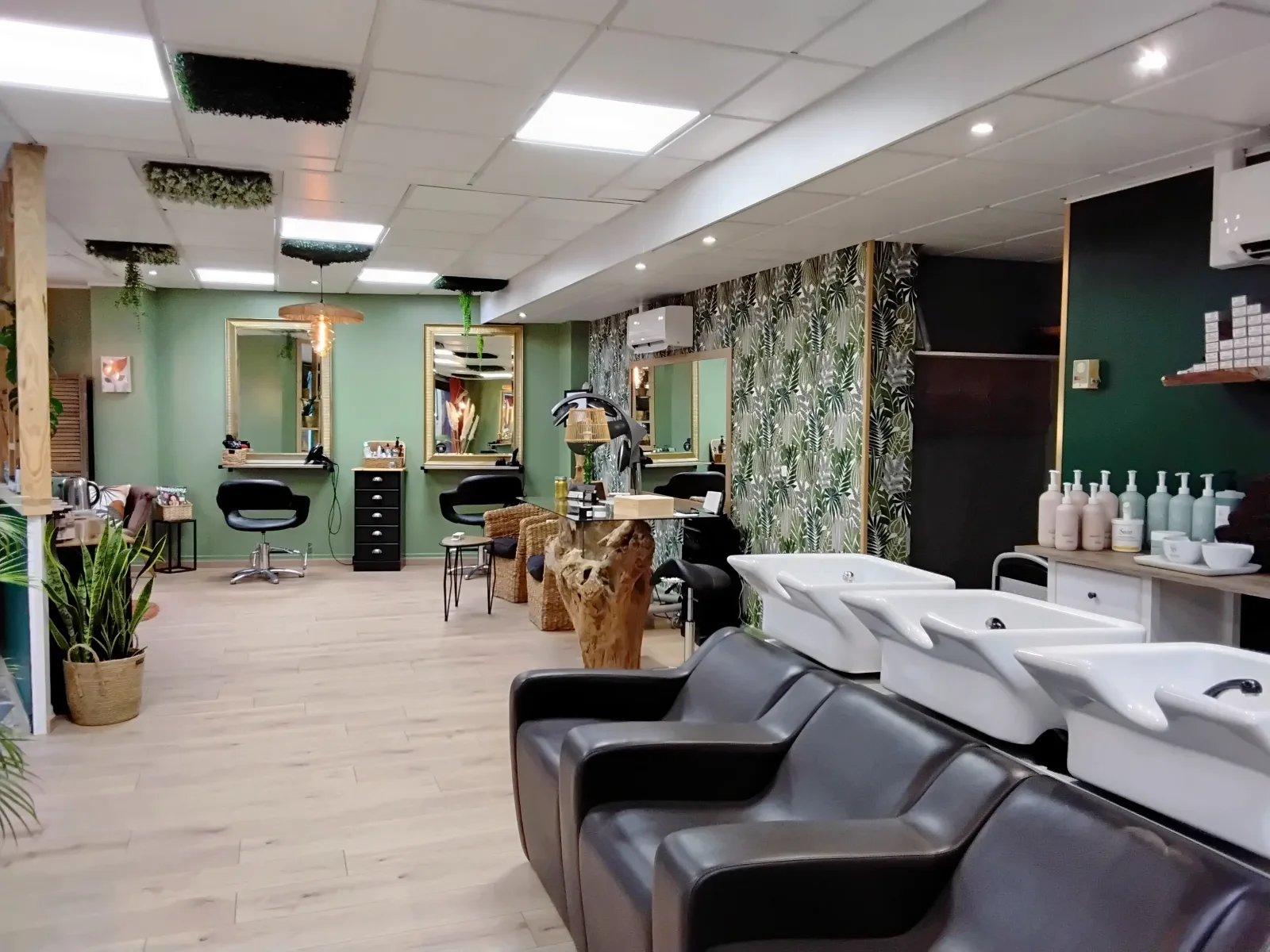 L’Hair Végétal - Coiffure Lisieux - L’Hair Végétal - Photo Galerie - OneBooking