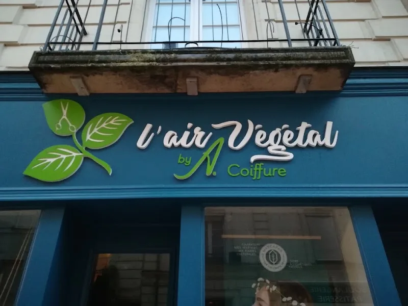 L'Air Végétal by A. Coiffure - Coiffure Angers - OneBooking