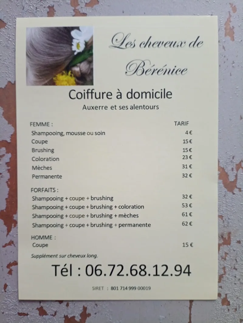 Les Cheveux de Bérénice - Coiffure Auxerre - OneBooking