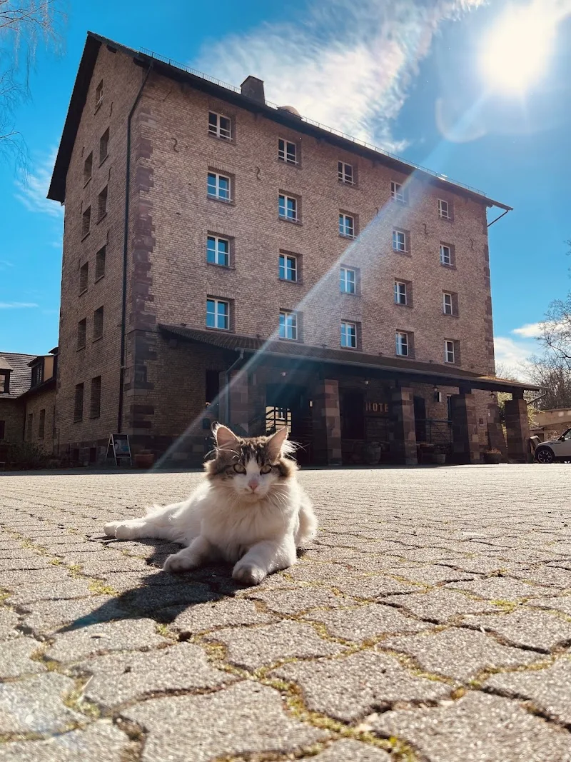 Hôtel Spa Le Moulin De La Wantzenau - Spa Strasbourg - OneBooking