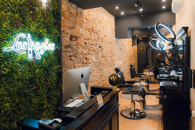 Les Angles Barbier - Beaux-Arts