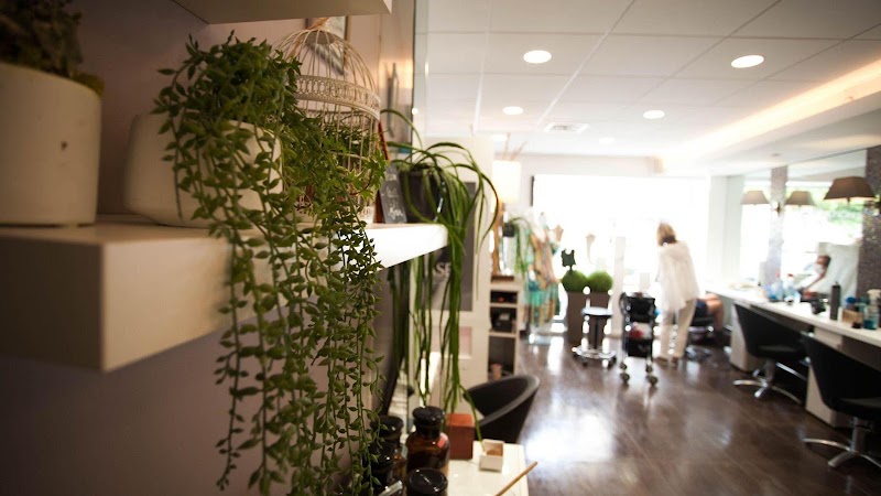 Inthairmod - Coiffeur Cannes - Coiffure Cannes - OneBooking