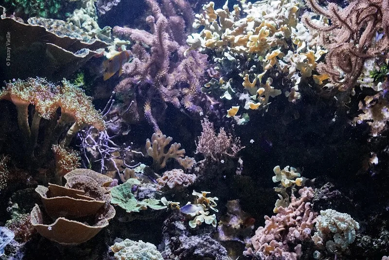 Aquarium Refuge de Limoges - Spa Limoges - OneBooking