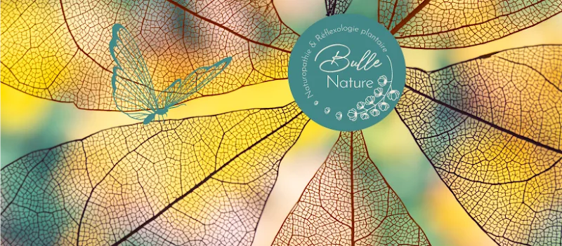 Bulle nature - Massage Fougères - OneBooking