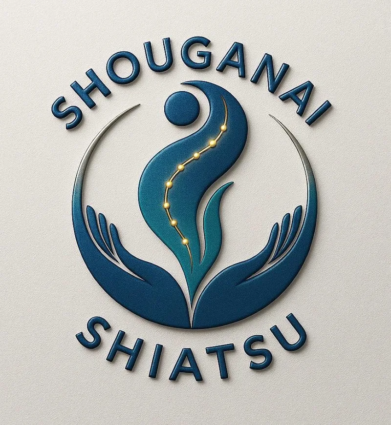 Shouganai Massage Shiatsu - Pierre - Angers - Massage Angers - OneBooking