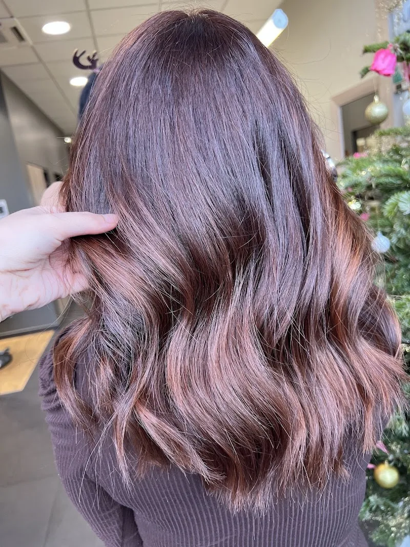 Shine Coiffeurs Les Fourches - Coiffure Clermont-Ferrand - OneBooking
