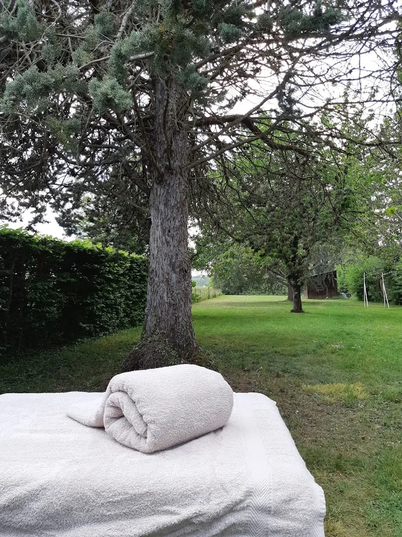 Litha - Massages bien-être (Auxerre) - Massage Auxerre - OneBooking