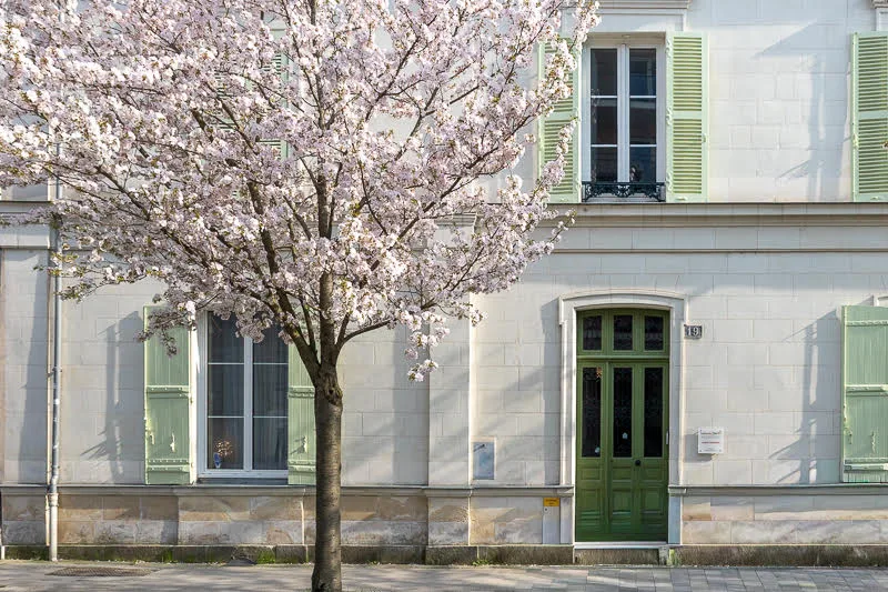Massage à Angers, Kobido & bons cadeaux | Traditions du Bien-être - Massage Angers - OneBooking