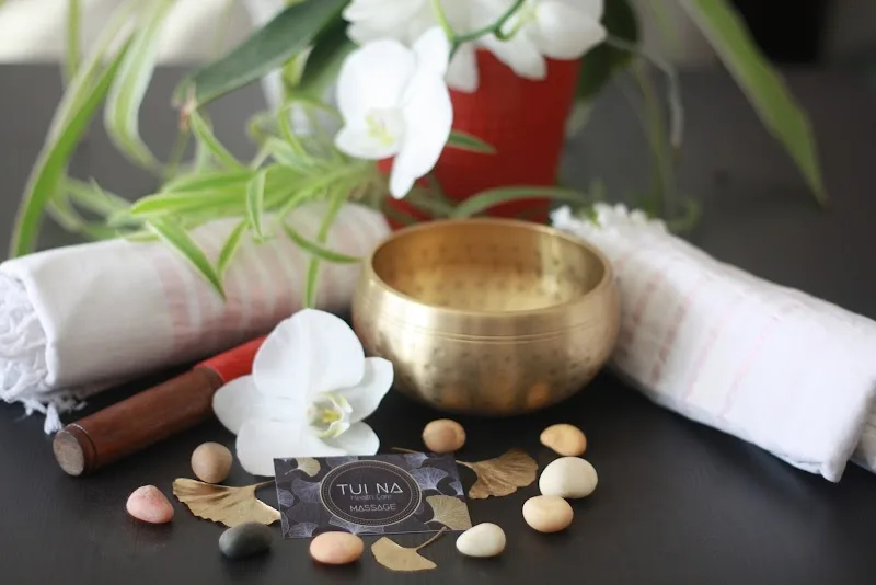 Massage Ginkgo TuiNa - Massage Grenoble - OneBooking