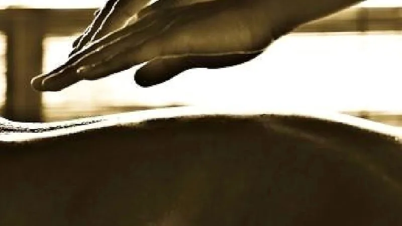 Massage Rouen Namaste massage aux huiles naturelles et vegan - Spa Rouen - OneBooking