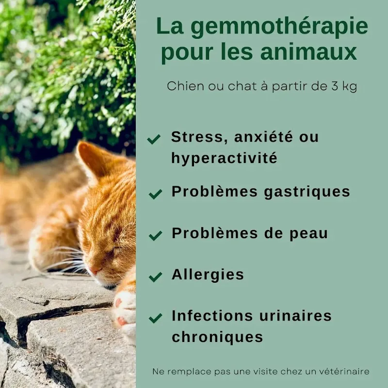 Jardin Bien-Être 06 phytothérapie pour animaux et humains - Bien-être Nice - OneBooking