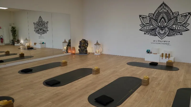 Ekho Sphere - Centre Fun&Yoga - Intensity Studio - Bien-être Orléans - OneBooking