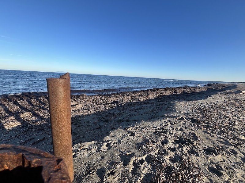 Espace littoral dunaire protégé - Bien-être Bastia - OneBooking