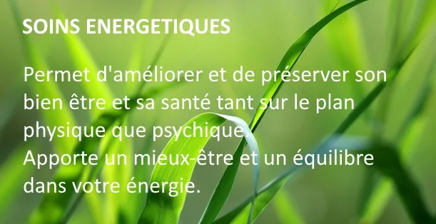 Sophie Tesnière Magnétiseur - Bien-être Fougères - OneBooking