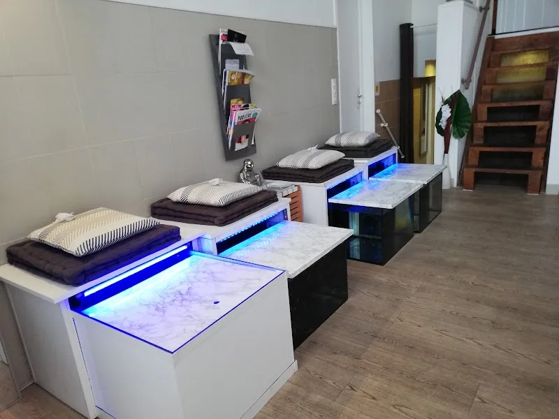 l'Atelier Bien Etre. Massages, Réflexologie Plantaire, Traitement anti cellulite - Bien-être Nice - OneBooking