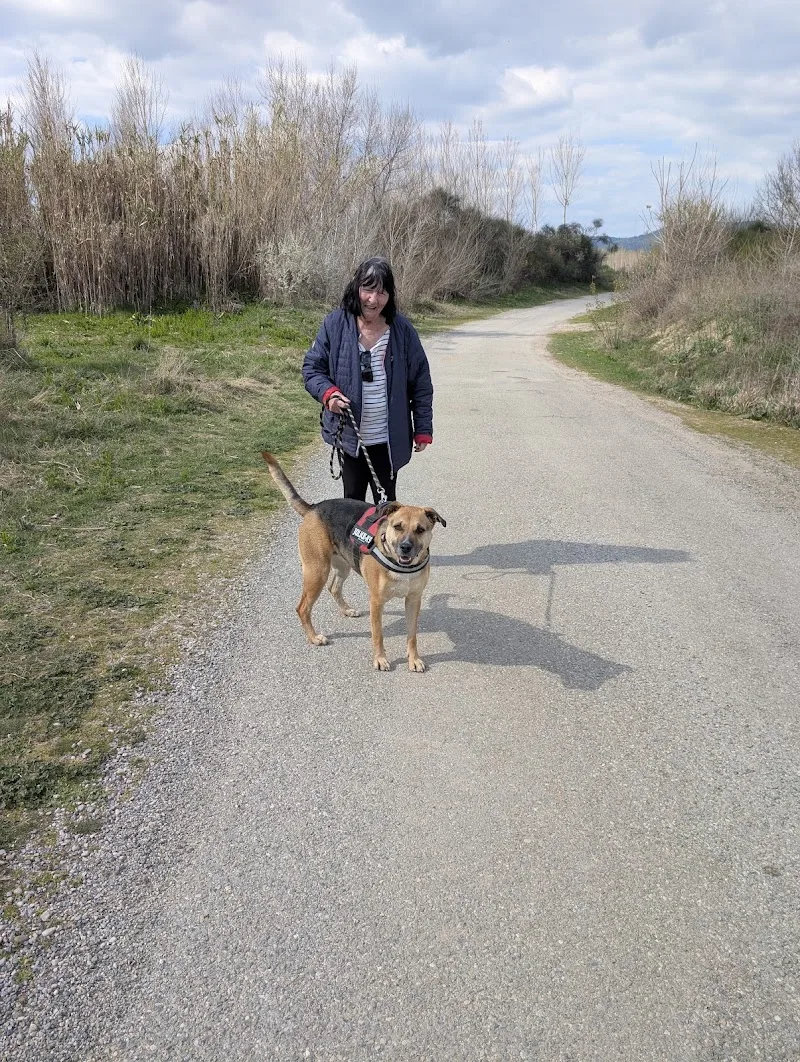 Association Secours Protection Animale - Spa Manosque - OneBooking